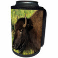 3dRose Danita Delimont - Bison - Bison, Custer State Park, South Dakota - Can Cooler Bottle Wrap (cc_251398)