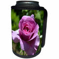 3dRose Patricia Sanders Flowers - Beauty of a Pink Rose - Can Cooler Bottle Wrap (cc_25140)