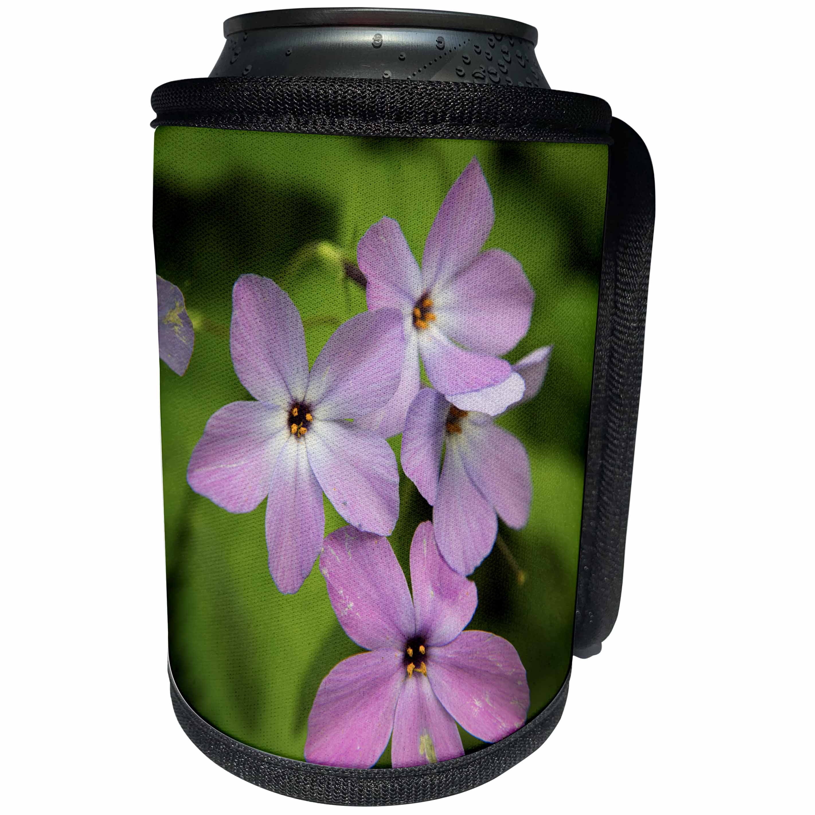 3dRose Danita Delimont - Great Smoky Mountains - Tennessee, Great Smoky Mountains National Park. Wild blue phlox. - Can Cooler Bottle Wrap (cc_251407)