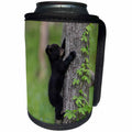 3dRose Danita Delimont - Black Bear - Tennessee. Black bear cub climbing tree. - Can Cooler Bottle Wrap (cc_251414)