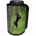 3dRose Danita Delimont - Black Bear - Tennessee. Black bear cub playing on tree limb. - Can Cooler Bottle Wrap (cc_251416)