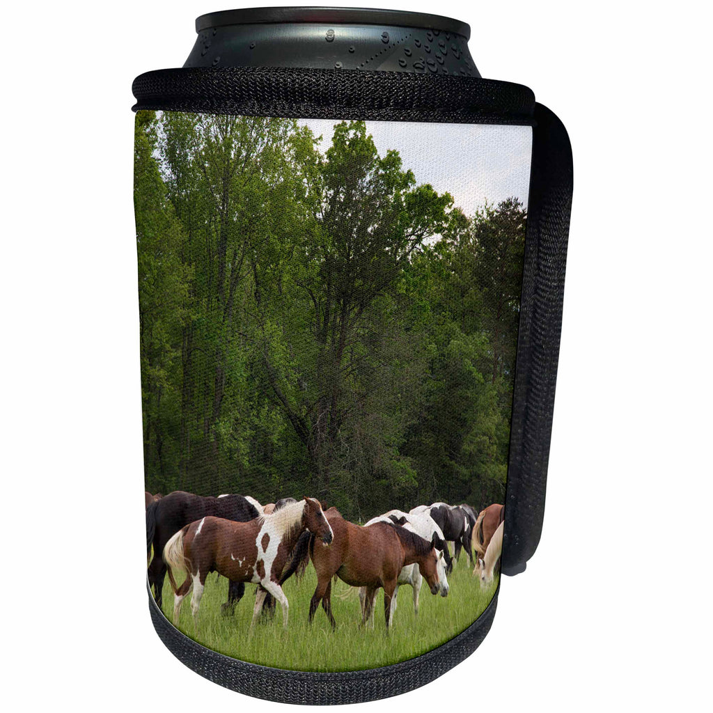 3dRose Danita Delimont - Great Smoky Mountains - Tennessee, Great Smoky Mountains National Park. Horses in Cades Cove. - Can Cooler Bottle Wrap (cc_251417)