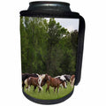 3dRose Danita Delimont - Great Smoky Mountains - Tennessee, Great Smoky Mountains National Park. Horses in Cades Cove. - Can Cooler Bottle Wrap (cc_251417)