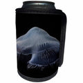 3dRose Danita Delimont - Jellyfish - Tennessee, Chattanooga. Moon jellyfish in aquarium 01 - Can Cooler Bottle Wrap (cc_251418)