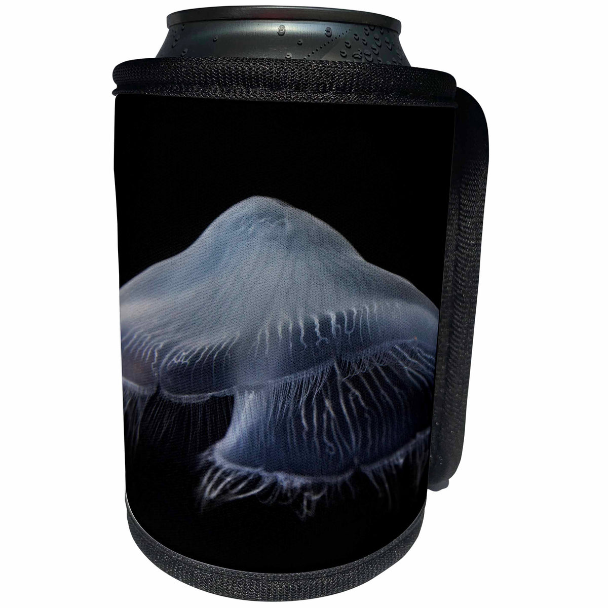 3dRose Danita Delimont - Jellyfish - Tennessee, Chattanooga. Moon jellyfish in aquarium 01 - Can Cooler Bottle Wrap (cc_251418)