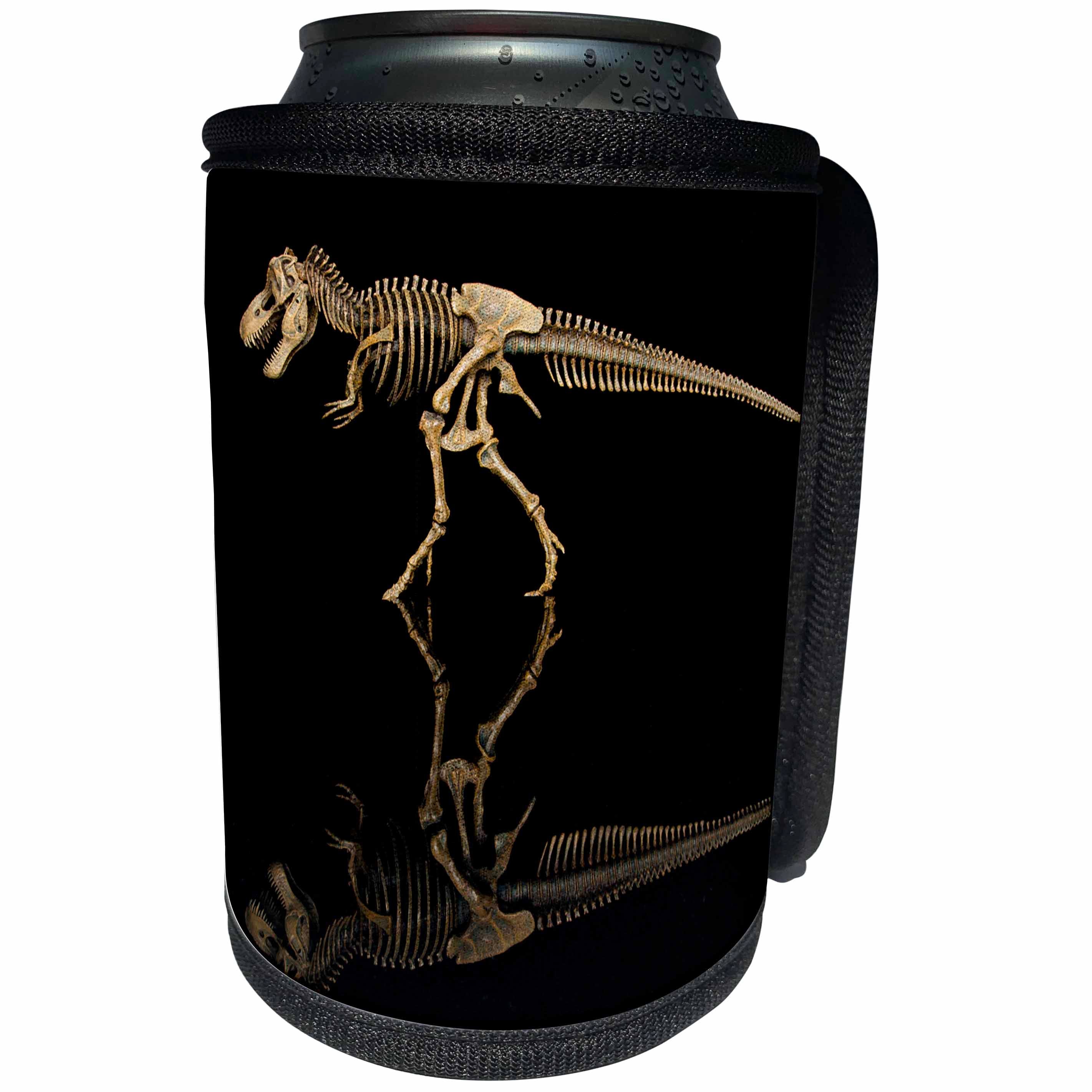 3dRose Danita Delimont - Dinosaur - Tennessee. T-rex dinosaur skeleton replica, reflection. - Can Cooler Bottle Wrap (cc_251421)