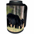 3dRose Danita Delimont - Black Bear - Black Bear female with two cubs, Great Smoky Mountains National Park - Can Cooler Bottle Wrap (cc_251422)