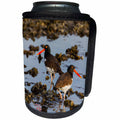 3dRose Danita Delimont - Bird - American Oystercatcher pair on oyster reef - Can Cooler Bottle Wrap (cc_251430)