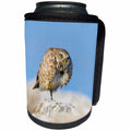 3dRose Danita Delimont - Owl - Burrowing Owl adult roosting on rock 01 - Can Cooler Bottle Wrap (cc_251437)