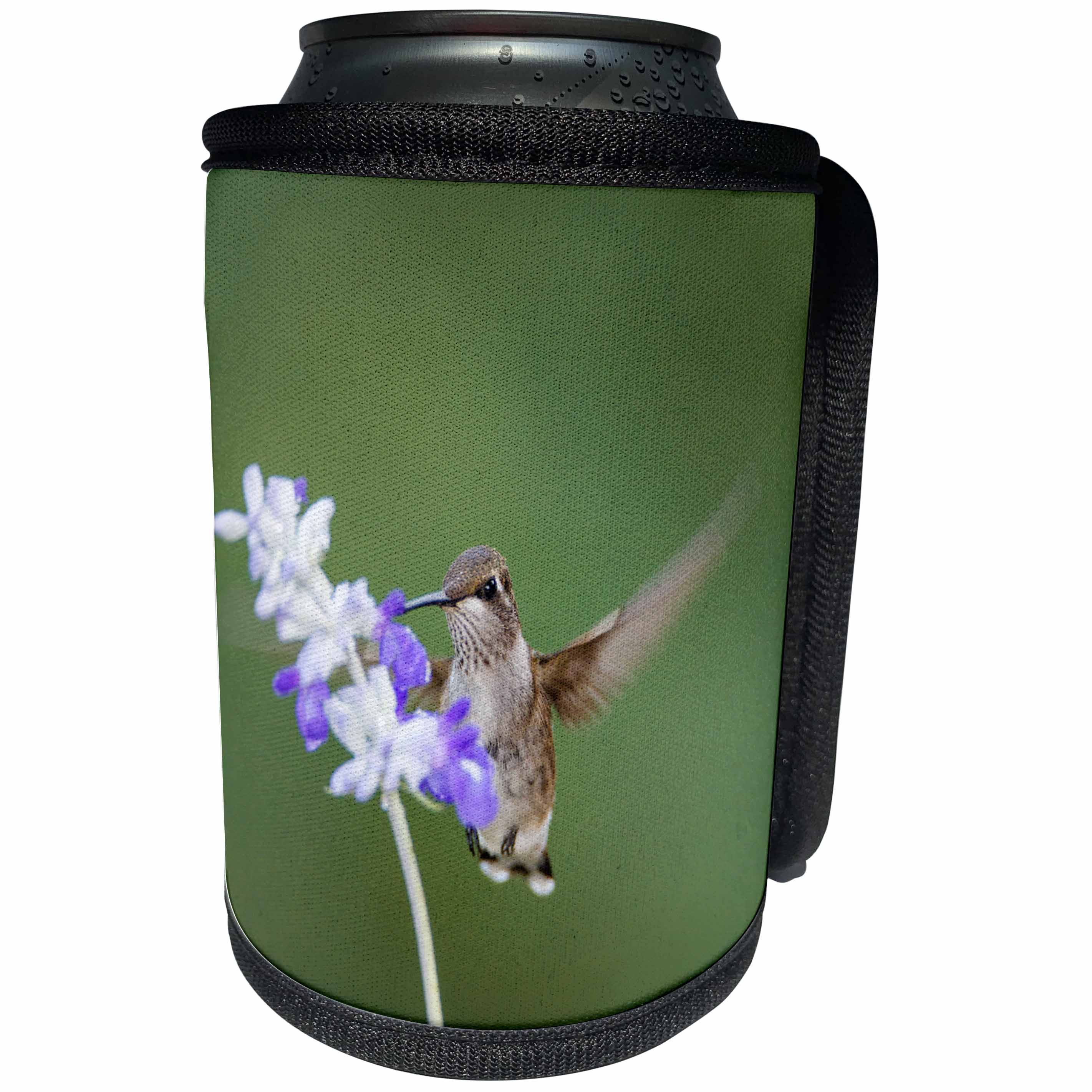 3dRose Danita Delimont - Hummingbird - Black-chinned Hummingbird Feeding - Can Cooler Bottle Wrap (cc_251440)