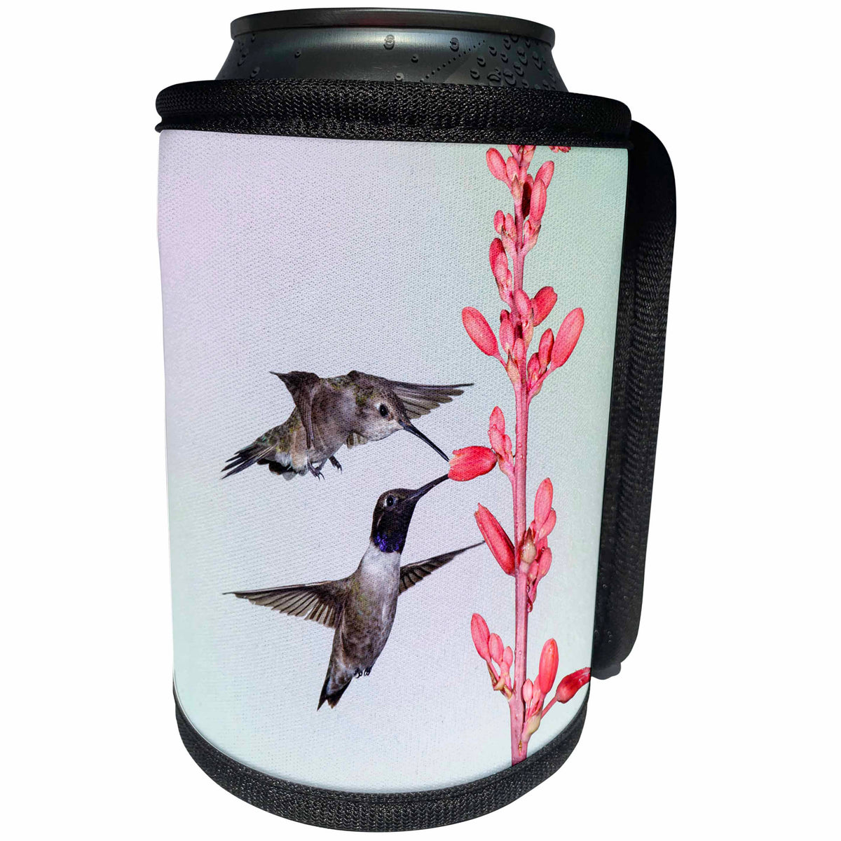 3dRose Danita Delimont - Hummingbird - Black-chinned Hummingbird adult males feeding - Can Cooler Bottle Wrap (cc_251442)
