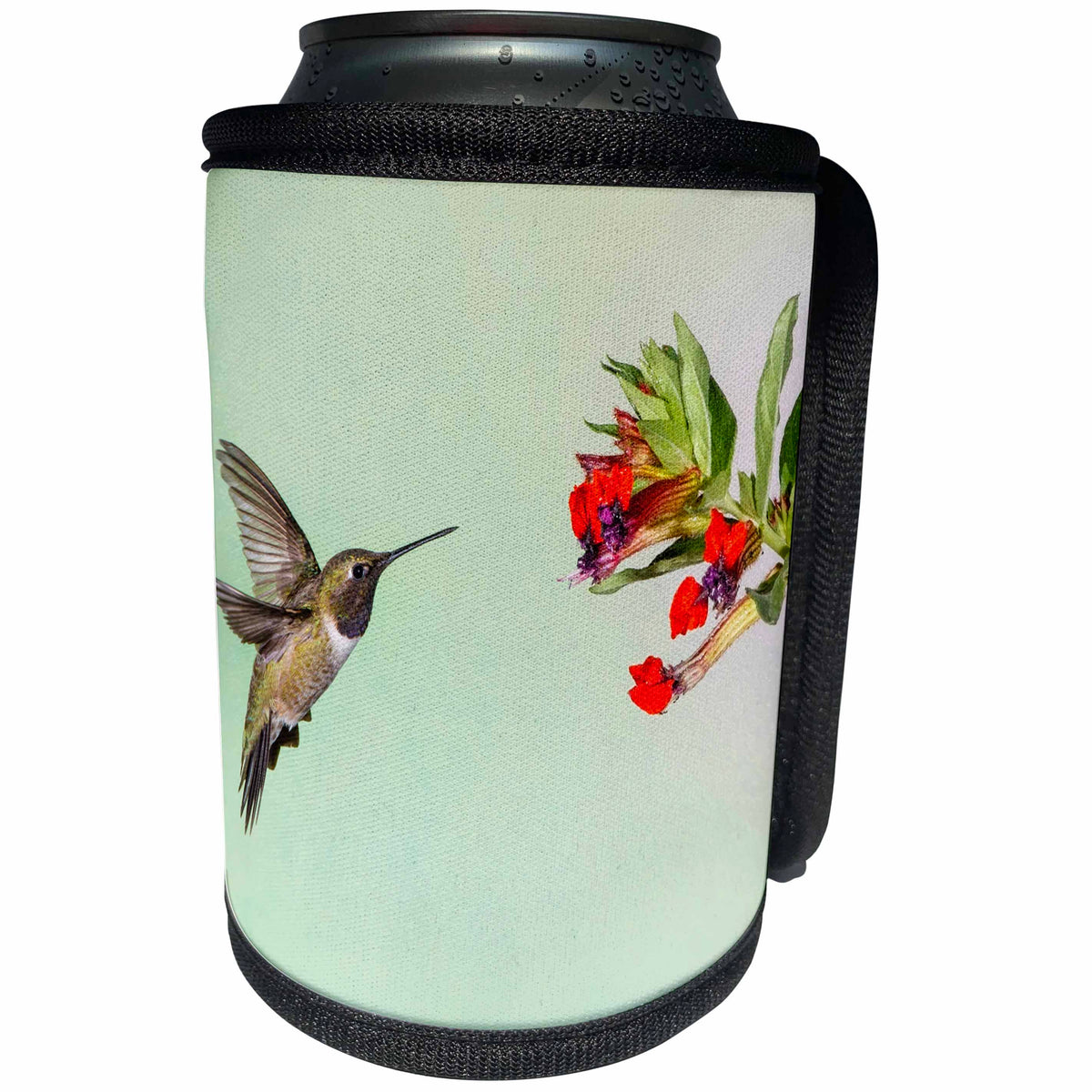 3dRose Danita Delimont - Hummingbird - Black-chinned Hummingbird adult male feeding - Can Cooler Bottle Wrap (cc_251443)