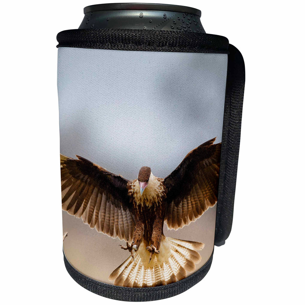 3dRose Danita Delimont - Bird - Crested Caracara in flight, landing - Can Cooler Bottle Wrap (cc_251449)