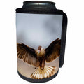 3dRose Danita Delimont - Bird - Crested Caracara in flight, landing - Can Cooler Bottle Wrap (cc_251449)