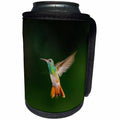 3dRose Danita Delimont - Hummingbird - Buff-bellied Hummingbird in flight - Can Cooler Bottle Wrap (cc_251450)