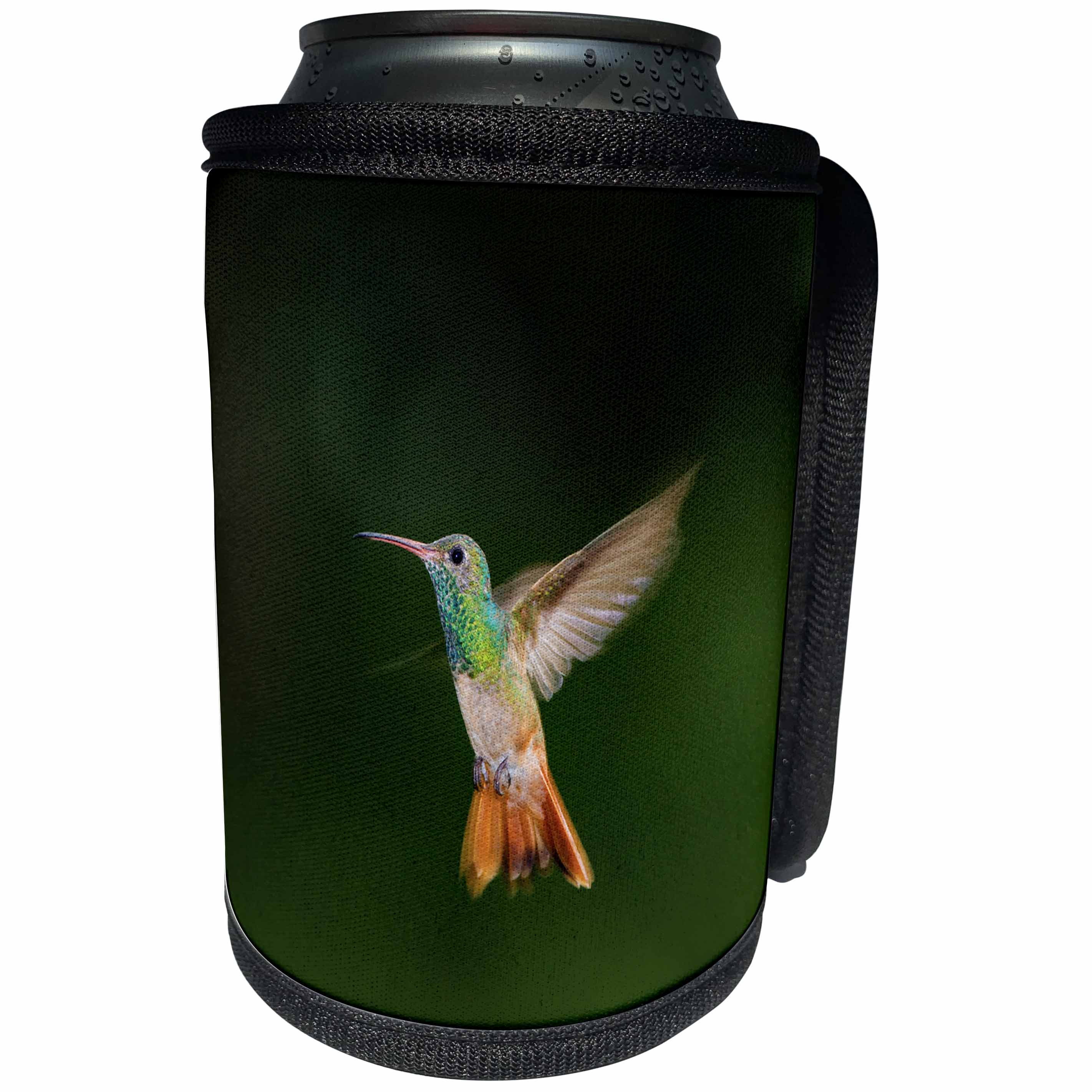 3dRose Danita Delimont - Hummingbird - Buff-bellied Hummingbird in flight - Can Cooler Bottle Wrap (cc_251450)