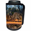 3dRose Danita Delimont - Mammal - Collared Peccary family at pond - Can Cooler Bottle Wrap (cc_251456)