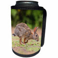 3dRose Danita Delimont - Rabbit - Eastern Cottontail running - Can Cooler Bottle Wrap (cc_251457)