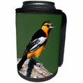 3dRose Danita Delimont - Oriole - Bullocks Oriole male, Starr, TX - Can Cooler Bottle Wrap (cc_251463)