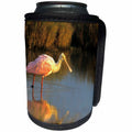3dRose Danita Delimont - Bird - Roseate Spoonbill, South Padre Island, Texas - Can Cooler Bottle Wrap (cc_251470)