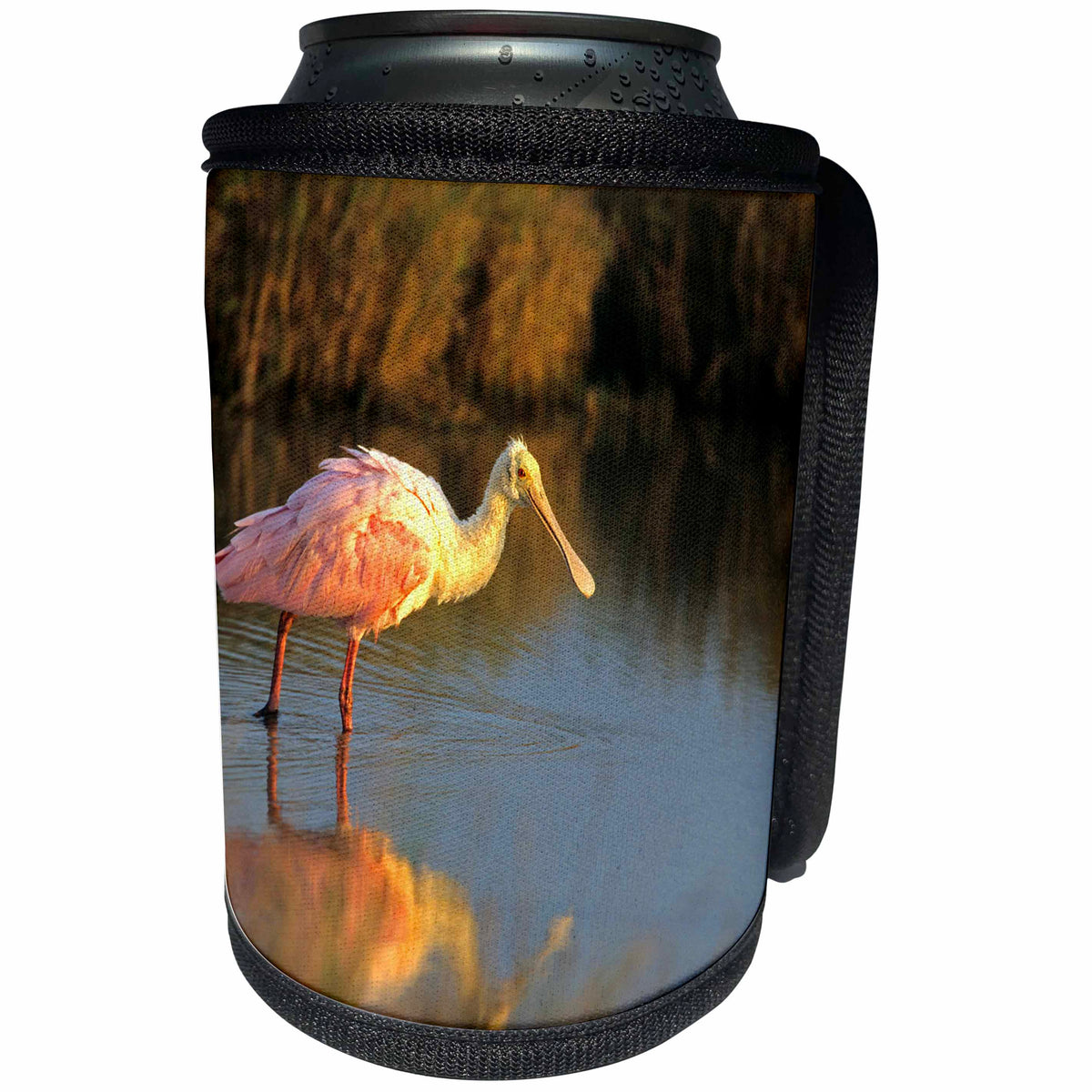 3dRose Danita Delimont - Bird - Roseate Spoonbill, South Padre Island, Texas - Can Cooler Bottle Wrap (cc_251470)