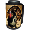 3dRose Danita Delimont - Turkey - Rio Grande Wild Turkey gobbler strutting, Starr County, Texas - Can Cooler Bottle Wrap (cc_251472)