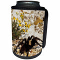 3dRose Danita Delimont - Spider - Tarantula, Starr County, Texas - Can Cooler Bottle Wrap (cc_251478)