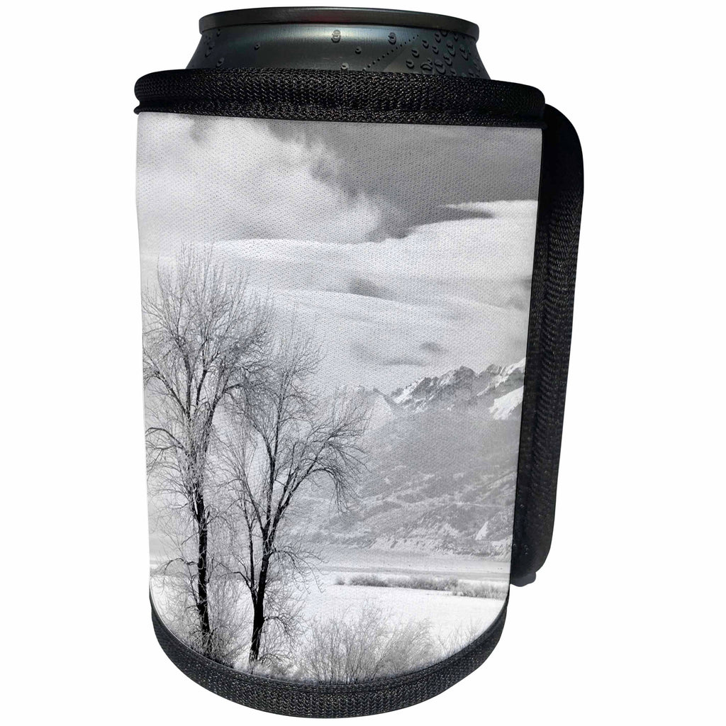 3dRose Danita Delimont - Utah - Utah, Heber City. Mount Timpanogos above Deer Creek Reservoir - Can Cooler Bottle Wrap (cc_251483)