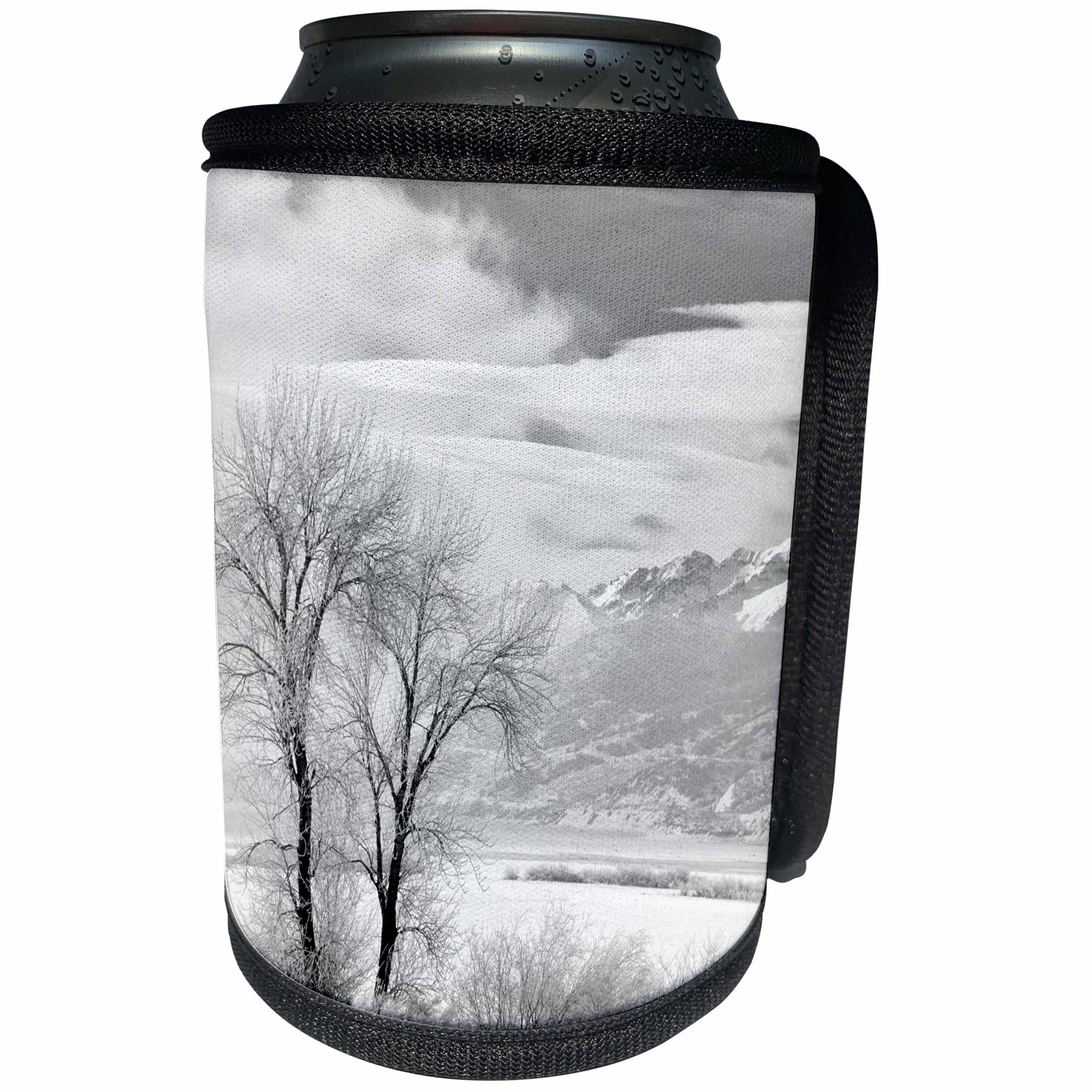 3dRose Danita Delimont - Utah - Utah, Heber City. Mount Timpanogos above Deer Creek Reservoir - Can Cooler Bottle Wrap (cc_251483)