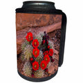 3dRose Danita Delimont - Utah - Utah, Cedar Mesa. Flowers of claret cup cactus in bloom on slickrock. - Can Cooler Bottle Wrap (cc_251491)