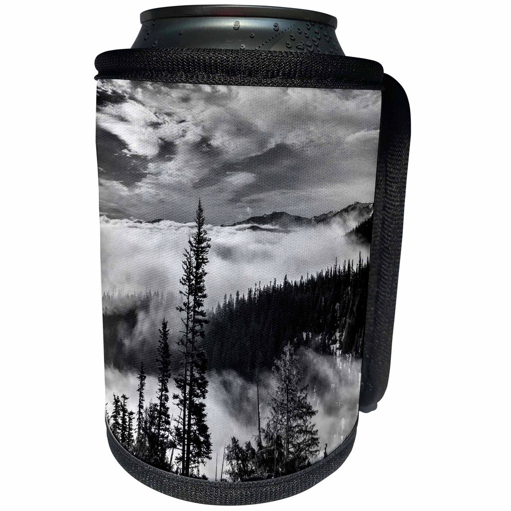 3dRose Danita Delimont - Olympic National Park - Washington State, Olympic National Park. View, Hurricane Ridge road - Can Cooler Bottle Wrap (cc_251494)