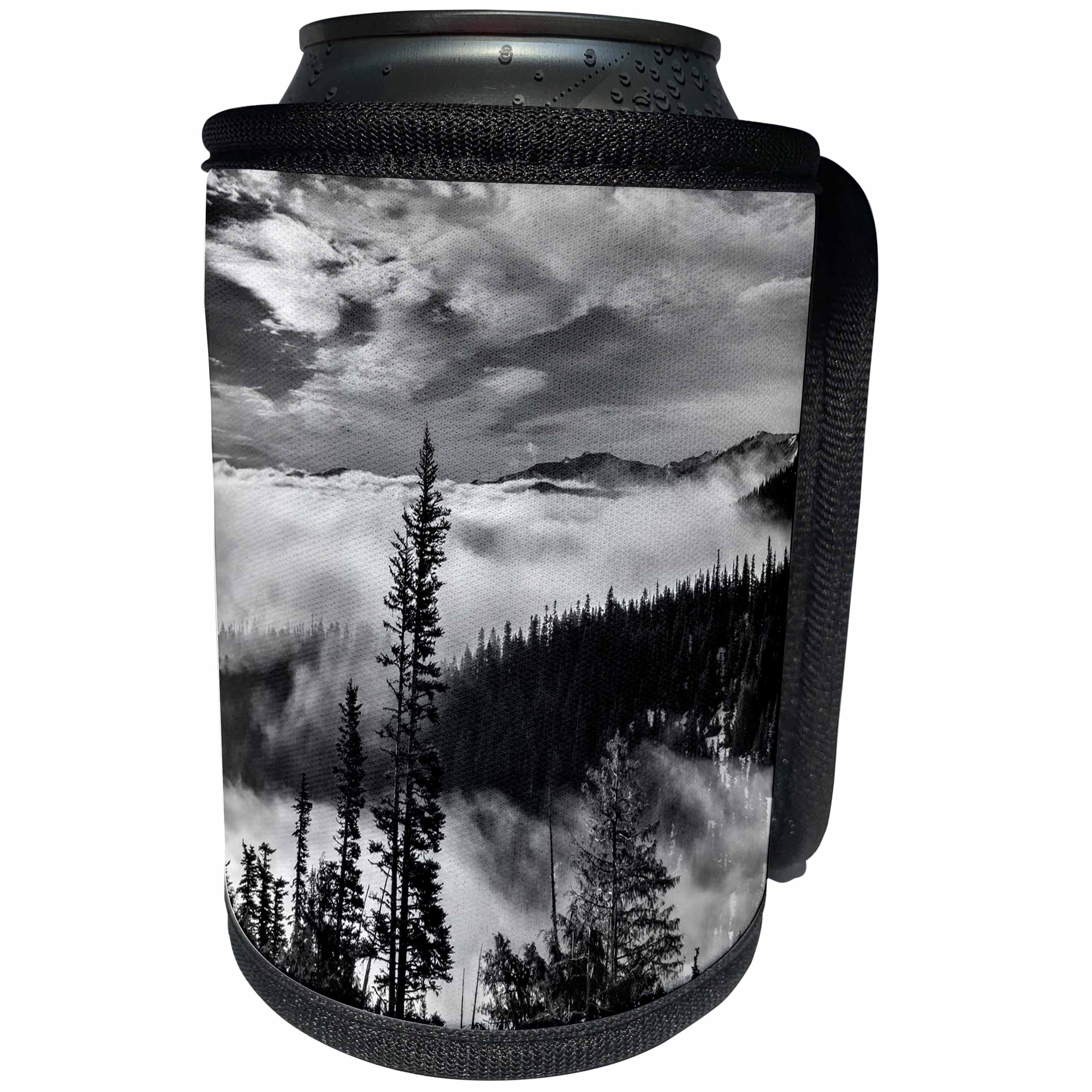 3dRose Danita Delimont - Olympic National Park - Washington State, Olympic National Park. View, Hurricane Ridge road - Can Cooler Bottle Wrap (cc_251494)