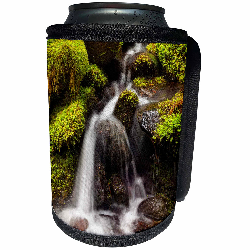 3dRose Danita Delimont - Olympic National Park - Washington State, Olympic National Park, Creek in Sol Duc Valley - Can Cooler Bottle Wrap (cc_251499)