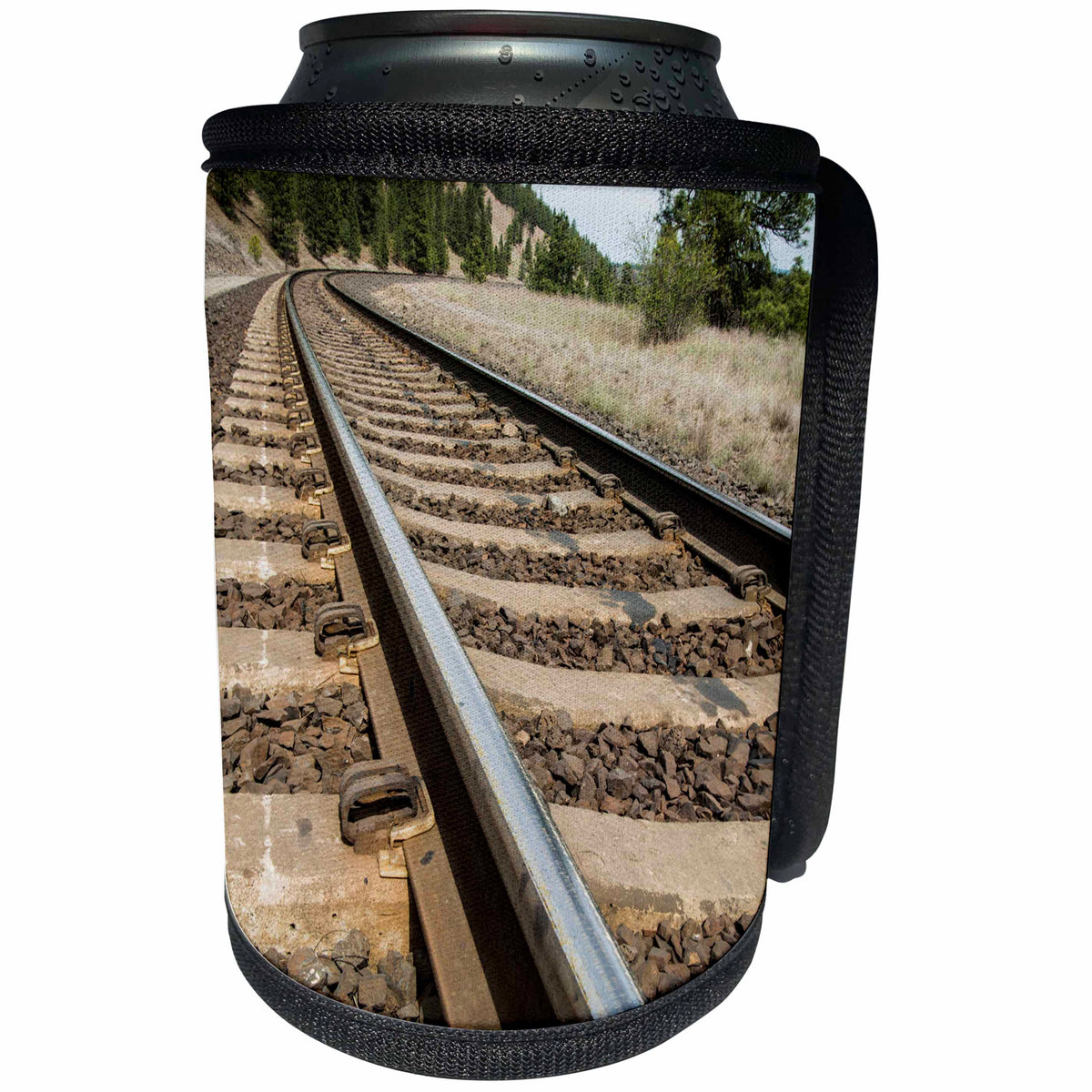 3dRose Danita Delimont - Palouse - Washington State, Palouse, Whitman County,railroad tracks at Marshall - Can Cooler Bottle Wrap (cc_251502)