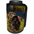 3dRose Danita Delimont - Palouse - Washington State, Palouse, Pioneer Stock Farm, Tom turkey - Can Cooler Bottle Wrap (cc_251503)