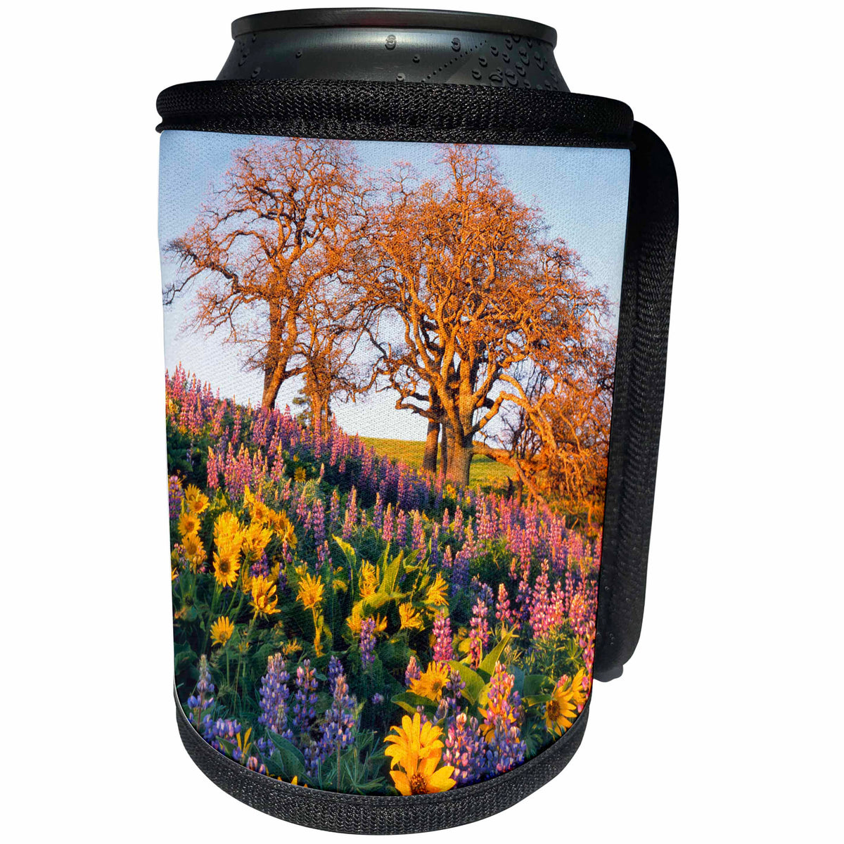 3dRose Danita Delimont - Washington - Washington State. Balsamroot, lupine, and oaks on hillside. - Can Cooler Bottle Wrap (cc_251506)