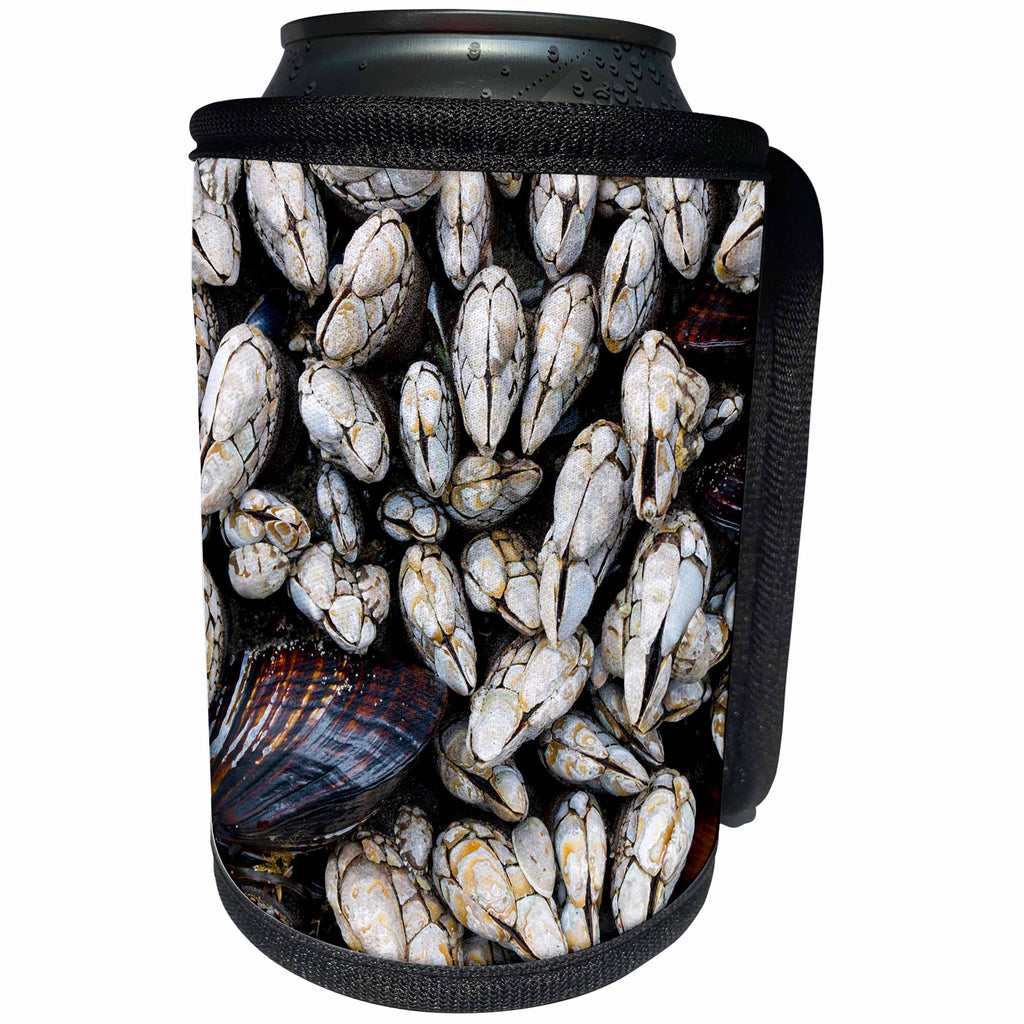 3dRose Danita Delimont - Olympic National Park - Washington, Olympic National Park. Gooseneck barnacles and clams. - Can Cooler Bottle Wrap (cc_251511)