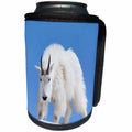 3dRose Danita Delimont - Mountain Goat - Washington State, Alpine Lakes Wilderness, Mountain goat, male - Can Cooler Bottle Wrap (cc_251546)