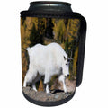 3dRose Danita Delimont - Mountain Goat - Washington State, Alpine Lakes Wilderness, Mountain goat, Nanny 01 - Can Cooler Bottle Wrap (cc_251547)