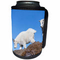 3dRose Danita Delimont - Mountain Goat - Washington State, Alpine Lakes Wilderness, Mountain goats, Nanny, Kid - Can Cooler Bottle Wrap (cc_251548)