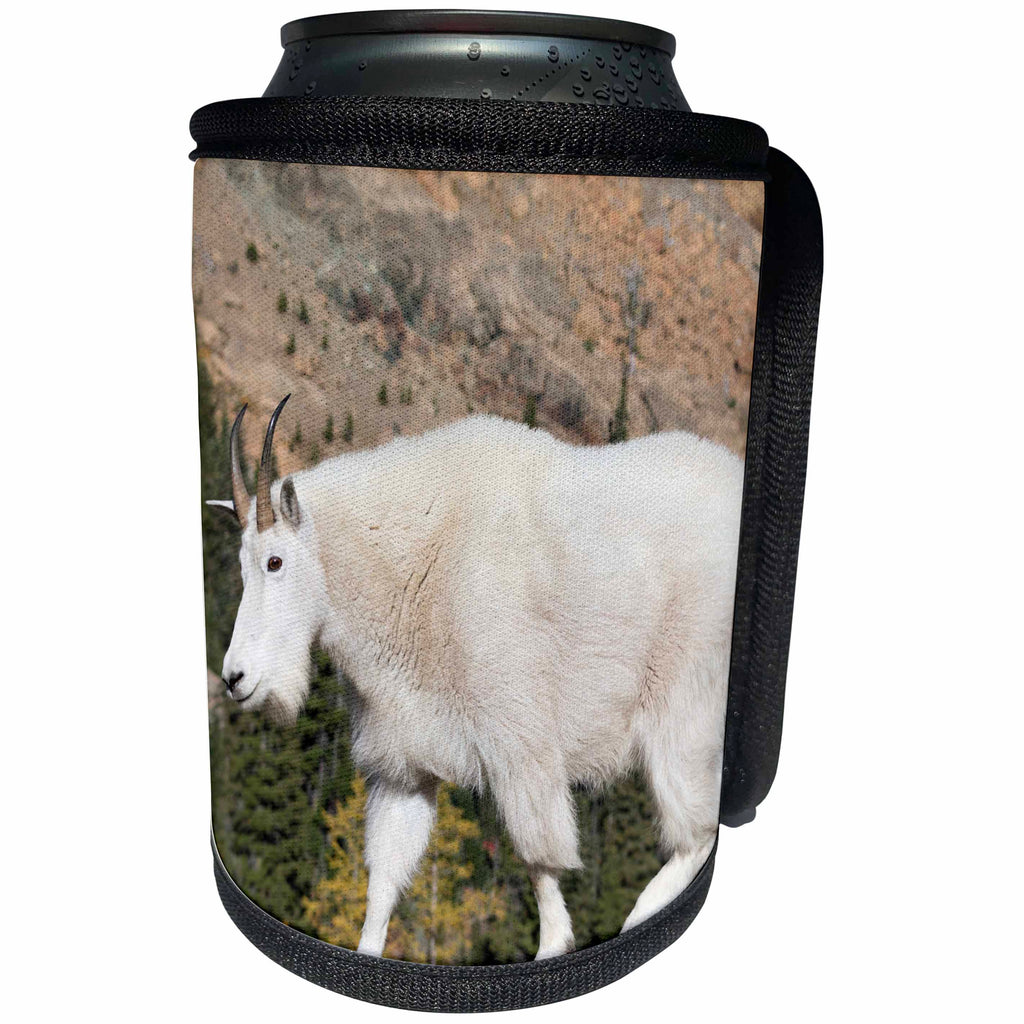3dRose Danita Delimont - Mountain Goat - Washington State, Alpine Lakes Wilderness, Mountain goat - Can Cooler Bottle Wrap (cc_251549)