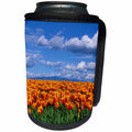 3dRose Danita Delimont - Washington - Orange tulips in field Skagit Valley, Washington State - Can Cooler Bottle Wrap (cc_251561)