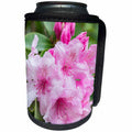 3dRose Danita Delimont - Washington - Washington State, Bellevue, Rhododendron - Can Cooler Bottle Wrap (cc_251562)