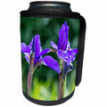 3dRose Danita Delimont - Washington - Washington State, Bellevue, Garden, Iris - Can Cooler Bottle Wrap (cc_251563)