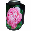 3dRose Danita Delimont - Washington - Washington State, Bellevue, Garden, Peony - Can Cooler Bottle Wrap (cc_251564)