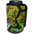 3dRose Danita Delimont - Seattle - Washington State, Seattle, Spring, Japanese Maple In Garden - Can Cooler Bottle Wrap (cc_251584)