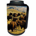 3dRose Danita Delimont - Bison - Bison feeding, Lamar Valley, Yellowstone National Park, Wyoming, USA - Can Cooler Bottle Wrap (cc_251595)