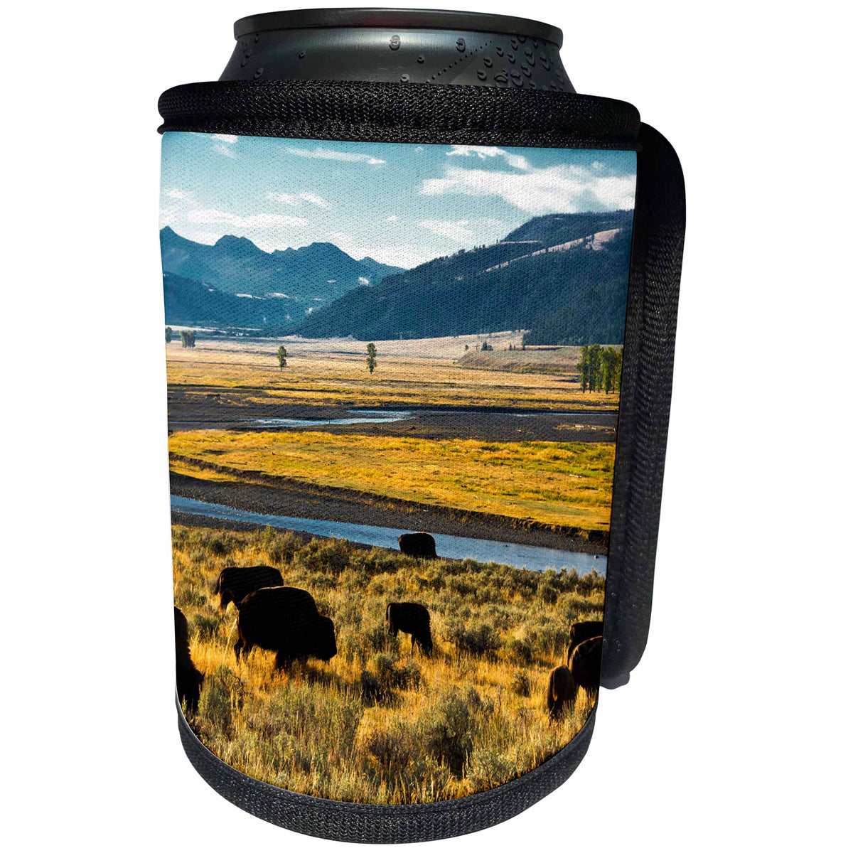 3dRose Danita Delimont - Yellowstone - Bison herd feeding, Lamar River Valley, Yellowstone National Park - Can Cooler Bottle Wrap (cc_251598)
