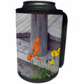 3dRose Anne Marie Baugh - Photography - Pretty Orange and Red Poppy Flowers Photograph - Can Cooler Bottle Wrap (cc_251729)