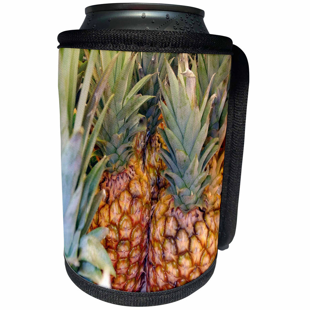 3dRose Anne Marie Baugh - Photography - Photograph Of A Bunch Of Pineapples - Can Cooler Bottle Wrap (cc_251733)